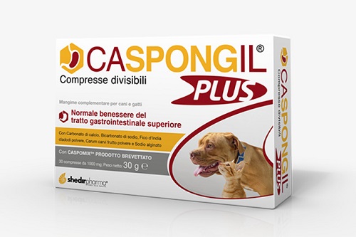 CASPONGIL PLUS 30 COMPRESSE - dottorbianchi.it