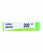 LEDUM PALUSTRE 200CH GLOBULI 1G - dottorbianchi.it