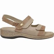 MARINELLA ROSA ANTICO 35 - dottorbianchi.it