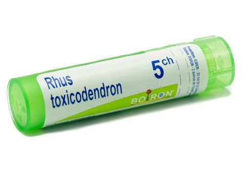 RHUS TOXICODENDRON*5CH 80GR 4G - dottorbianchi.it