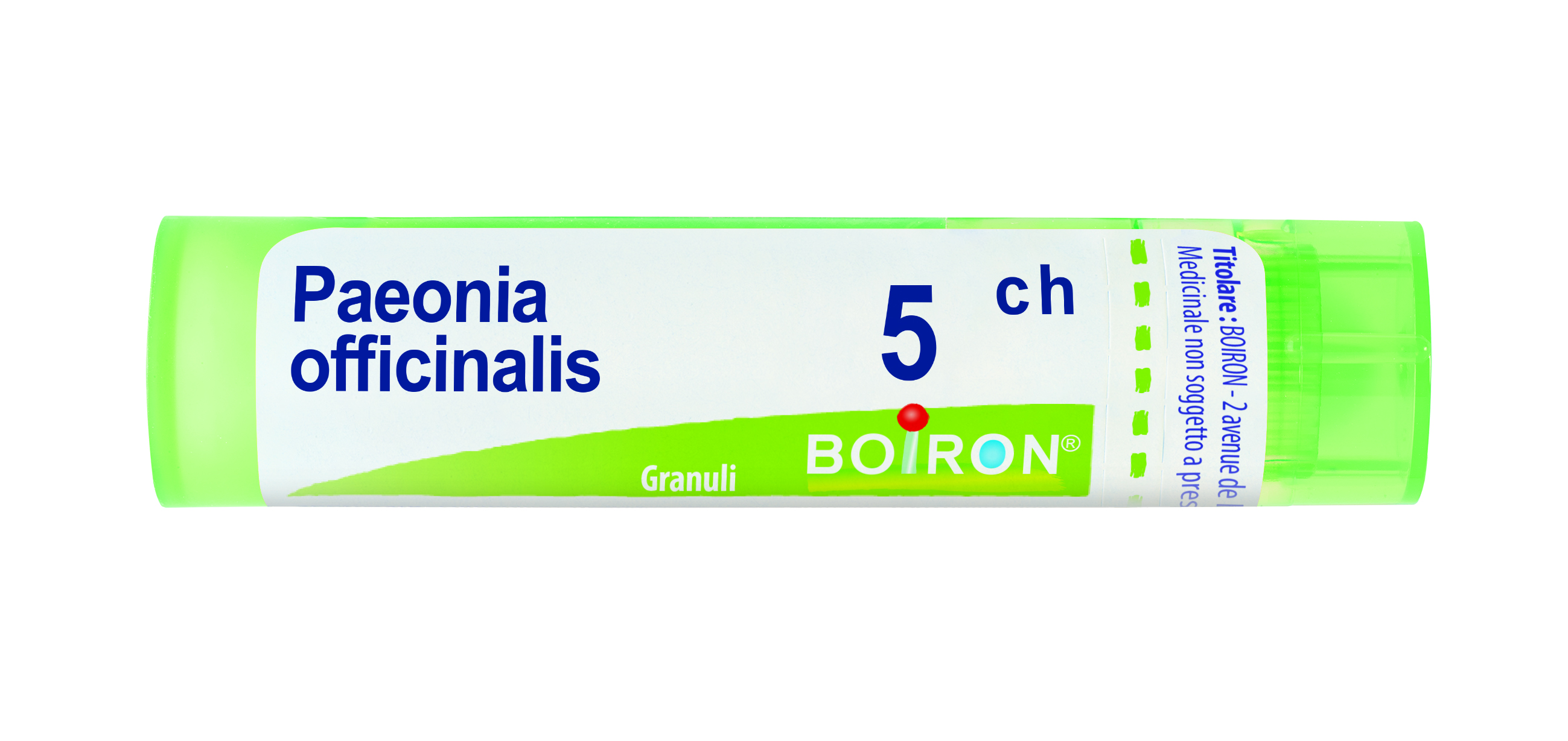 PAEONIA OFFICINALIS*5CH 80GR - dottorbianchi.it