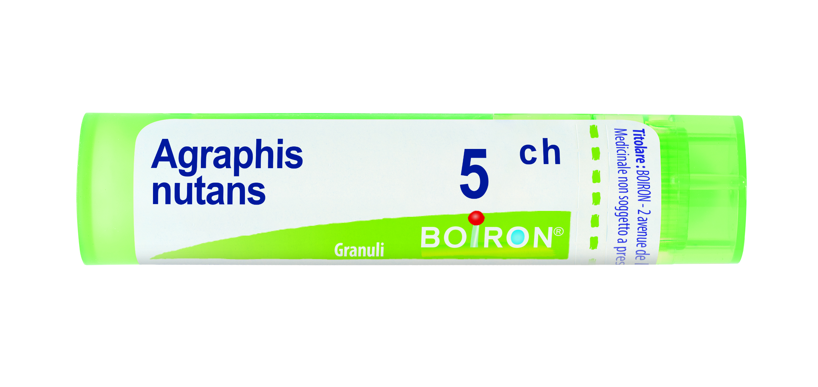 AGRAPHIS NUTANS*5CH 80GR 4G - dottorbianchi.it