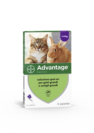 ADVANTAGE*4PIP 0,8ML SPOTON - dottorbianchi.it