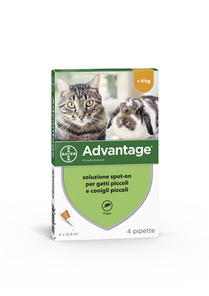ADVANTAGE*4PIP 0,4ML SPOTON - dottorbianchi.it