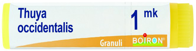 THUYA OCCIDENTALIS MK GLOBULI - dottorbianchi.it