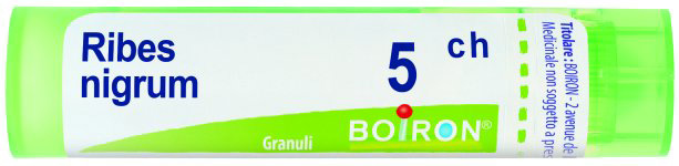 RIBES NIGRUM 5CH GRANULI - dottorbianchi.it