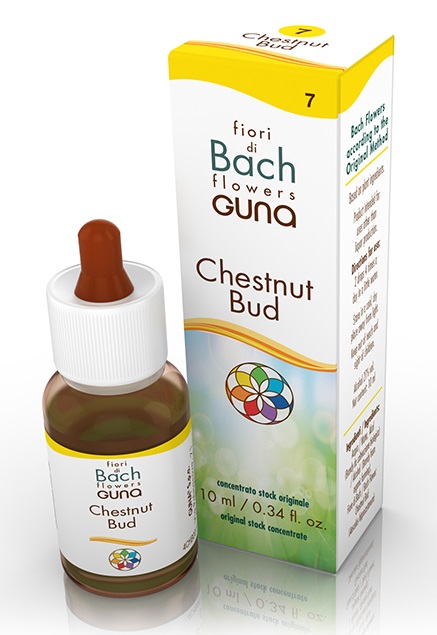 CHESTNUT BUD GOCCE 10 ML - dottorbianchi.it