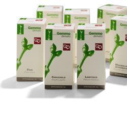 CISTO MACERATO GLICERICO 200 ML - dottorbianchi.it