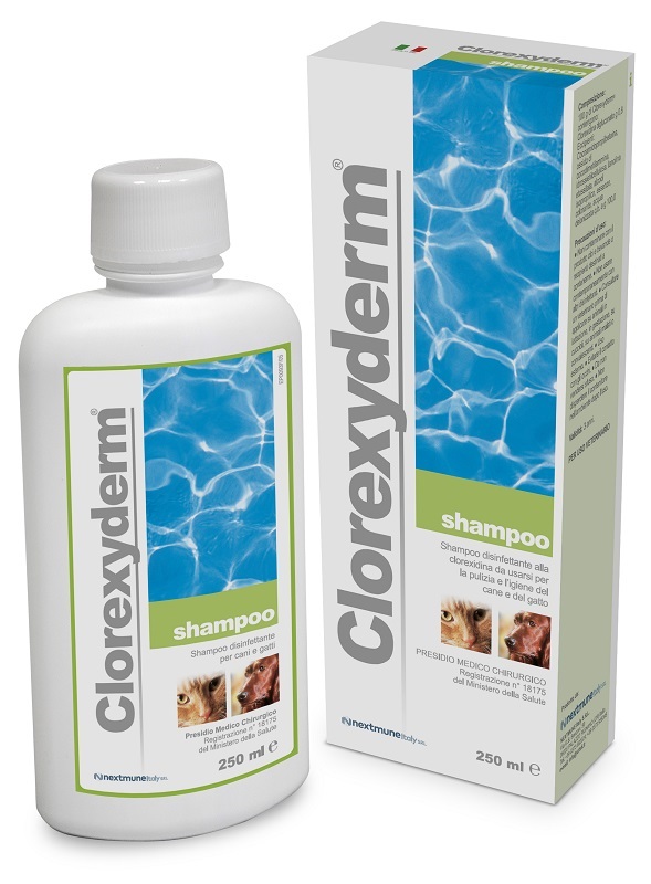 CLOREXYDERM SHAMPOO 250 ML - dottorbianchi.it