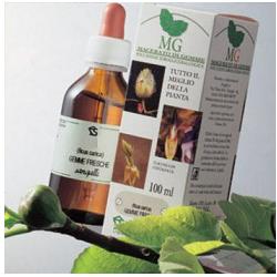 BETULLA 100ML MG - dottorbianchi.it