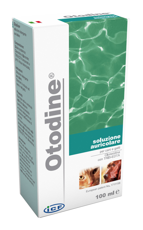 OTODINE DET LIQ 100ML - dottorbianchi.it