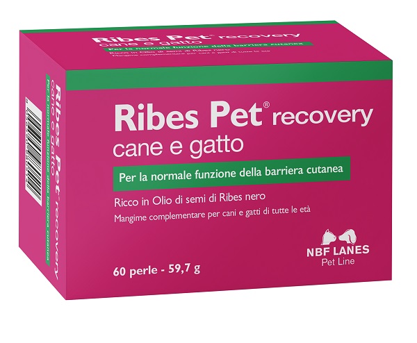 RIBES PET RECOVERY BLISTER 60 PERLE - dottorbianchi.it