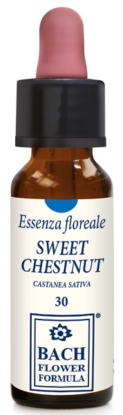 SWEET CHESTNUT ORIGINAL 10ML - dottorbianchi.it