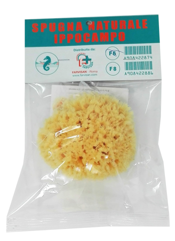 SPUGNA NATURALE IPPOCAMPO 6 - dottorbianchi.it