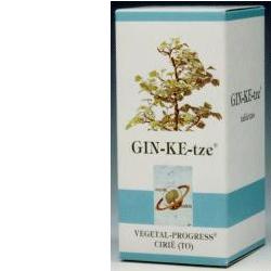 GINKETZE BIO 80 TAVOLETTE 600 MG - dottorbianchi.it