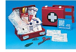 CASSETTA PRONTO SOCCORSO FAMILY PER CAMPEGGIO, BRICOLAGE, CASA E UFFICIO. CONTENITORE IN ABS ANTIURTO CON SUPPORTO PER IL FISSAGGIO ALLA PARETE - dottorbianchi.it