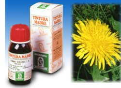 TARASSACO 28 50ML TM - dottorbianchi.it