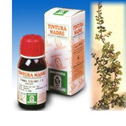 UVA URSINA 30 50ML TM - dottorbianchi.it