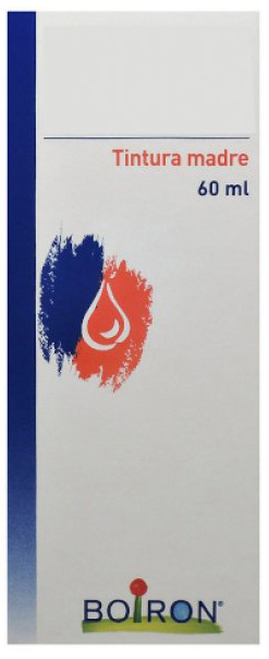 THUYA OCCIDENTALIS TINTURA MADRE 60 ML - dottorbianchi.it