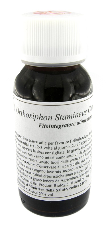 LVS 65S ORTHOSIPHON STAMINEUS COMPOSITUM - dottorbianchi.it
