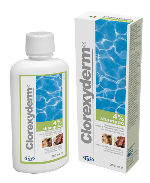 CLOREXYDERM SH 4% 250ML - dottorbianchi.it