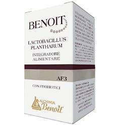 BENOIT LACTOBACILLUS PLANTHARUM 30 CAPSULE - dottorbianchi.it