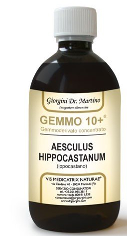 GEMOO 10+ GEMMODERIVATO CONCENTRATO IPPOCASTANO LIQUIDO ANALCOLICO AESCULUS HIPPOCASTANUM IPPOCASTANO 500 ML - dottorbianchi.it