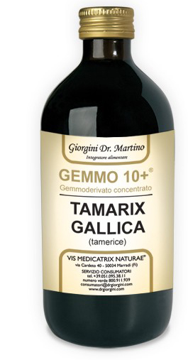 GEMMO 10+ GEMMODERIVATO CONCENTRATO LIQUIDO ANALCOLICO TAMARIX GALLICA TAMERICE 500 ML - dottorbianchi.it