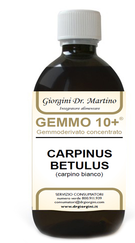 GEMMO 10+ CARPINO BIANCO 500 ML LIQUIDO ANALCOLICO - dottorbianchi.it