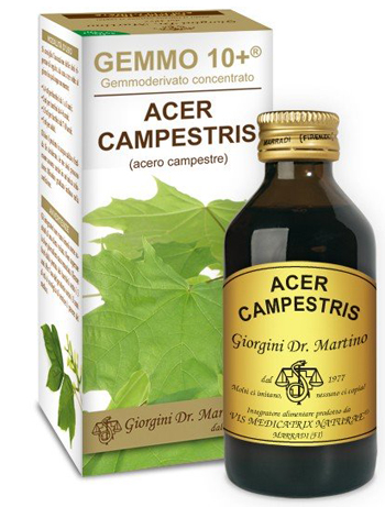 GEMMO 10+ ACERO CAMPESTRE 100 ML LIQUIDO ANALCOLICO - dottorbianchi.it