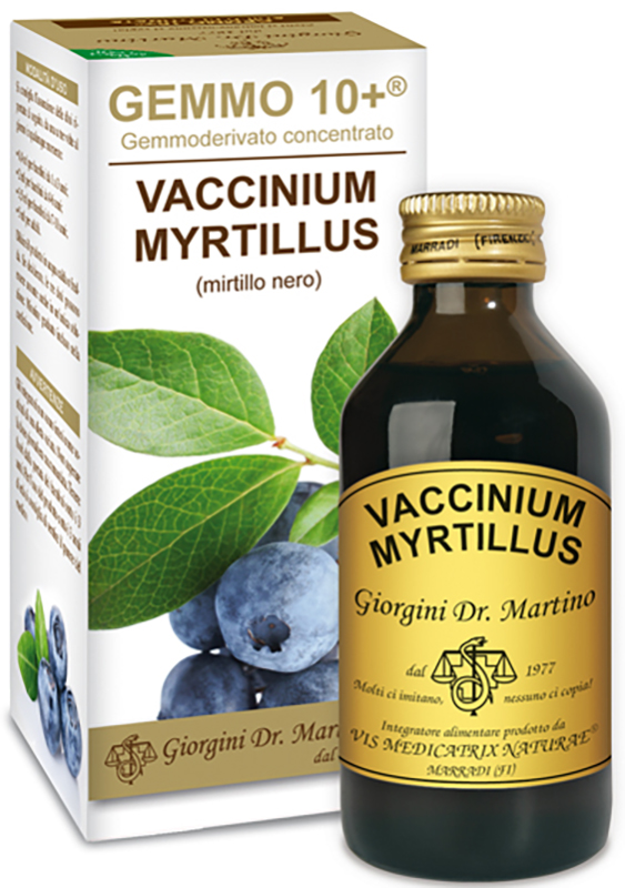 GEMMO 10+ GEMMODERIVATO CONCENTRATO VACCINIUM MYRTILLUS MIRTILLO NERO SENZA ALCOOL 100 ML - dottorbianchi.it