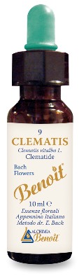 FIORI DI BACH BENOIT CLEMATIS 10 ML - dottorbianchi.it