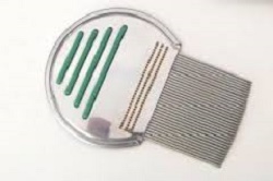 PETTINE ACCIAIO PER RIMOZIONE PIDOCCHI - dottorbianchi.it