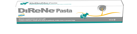 DIRENE PASTA 15 ML - dottorbianchi.it