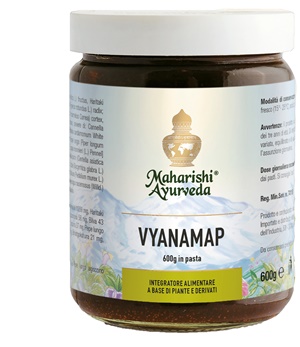 VYANAMAP PASTA 600 G - dottorbianchi.it