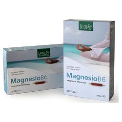 MAGNESIO B6 20 AMPOLLE BEVIBILI DA 15 ML - dottorbianchi.it