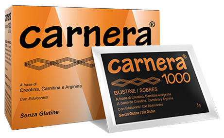 CARNERA 1000 18 BUSTINE - dottorbianchi.it