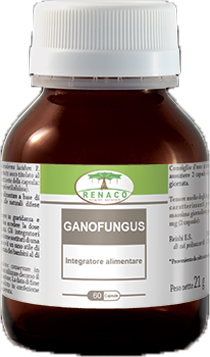 GANOFUNGUS 60 CAPSULE FLACONE 24 G - dottorbianchi.it