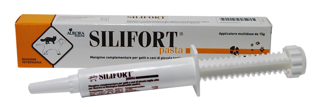 SILIFORT PASTA OS SIRINGA 15 G - dottorbianchi.it
