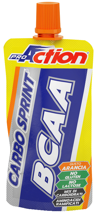 PROACTION CARBO SPRINT ENDURANCE BCAA ALL'ARANCIA 50 ML - dottorbianchi.it