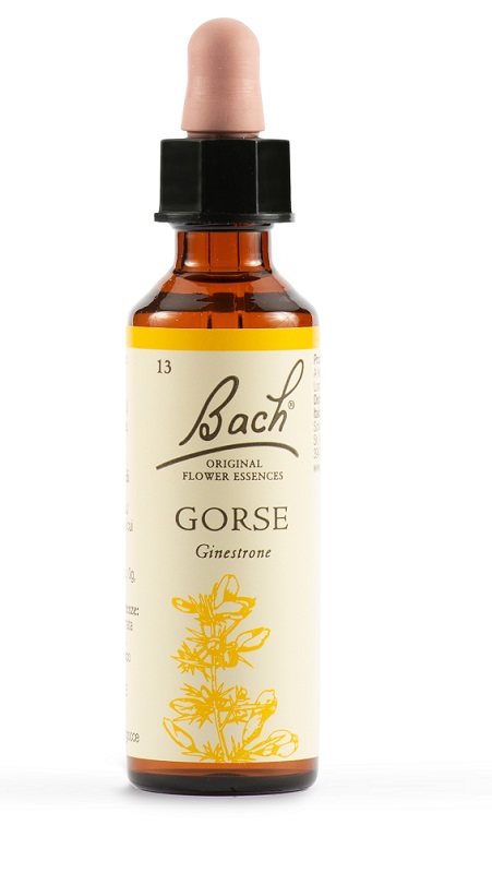 GORSE BACH ORIG 20 ML - dottorbianchi.it