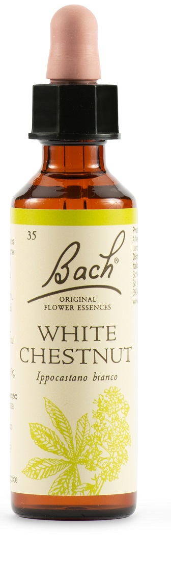 WHITE CHEST BACH ORIG 20 ML - dottorbianchi.it