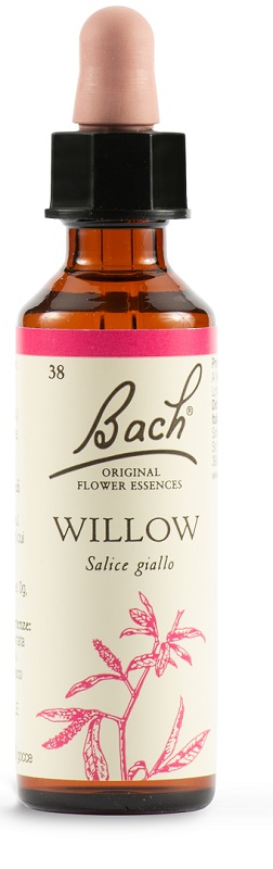 WILLOW BACH ORIG 20 ML - dottorbianchi.it