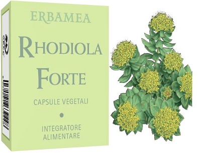 RHODIOLA FORTE 24 CAPSULE - dottorbianchi.it