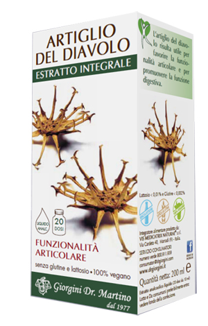ARTIGLIO DEL DIAVOLO ESTRATTO INTEGRALE 200 ML - dottorbianchi.it