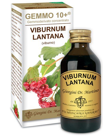 VIBURNO LIQUIDO ANALCOLICO GEMMO 10+ 100 ML - dottorbianchi.it