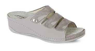 CIPRO GRIGIO 36 - dottorbianchi.it