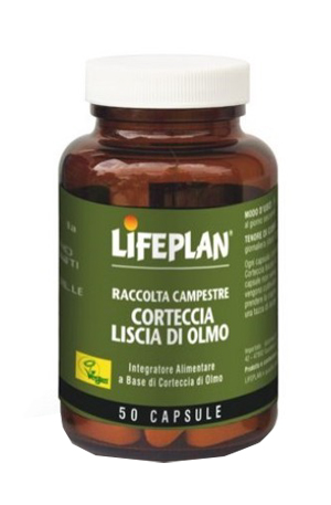 CORTECCIA LISCIA DI OLMO 50 CAPSULE - dottorbianchi.it