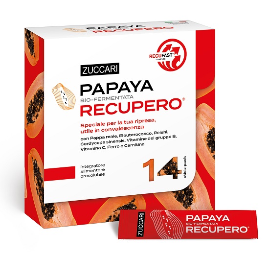 PAPAYA RECUPERO 14 STICK - dottorbianchi.it