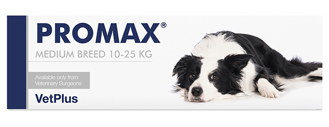PROMAX MEDIUM BREED 18 ML - dottorbianchi.it